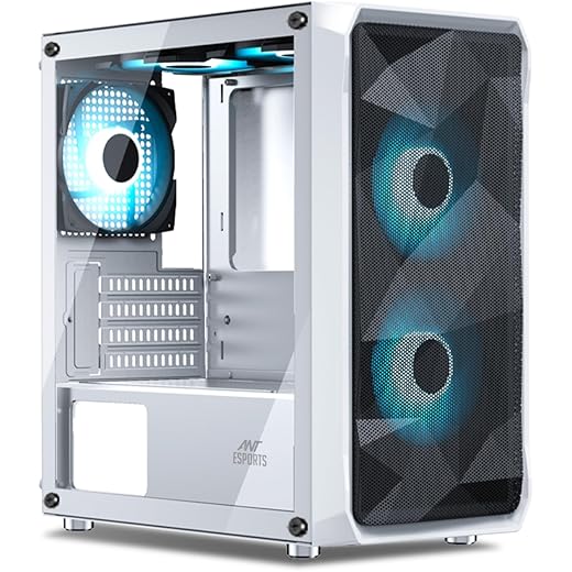 Ant Esports 100 Air Mini Case - White