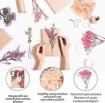 Dried Flowers Natural DIY Dried Flowers Free combination for scrapbook resin molds candles greeting cards and home decoration rose red