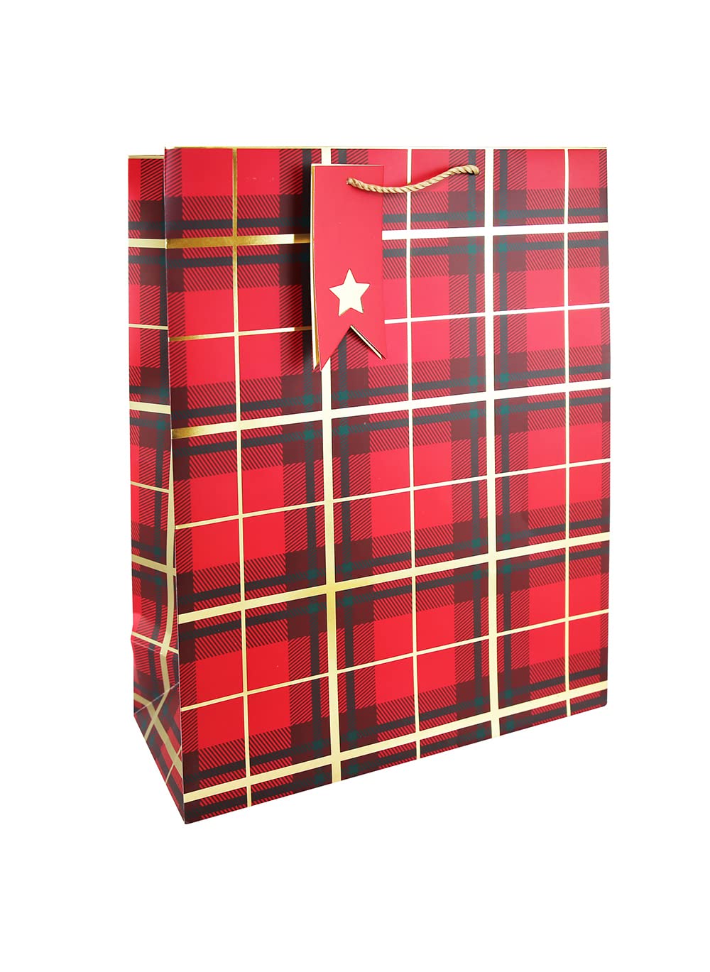 Eurowrap Gift Bags Traditional X-31283-1Wc