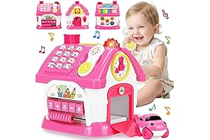 Tangle-Free Learning: Multipurpose Montessori Toy for Curious Toddlers