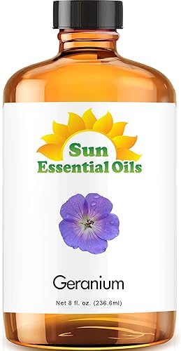 Miniatura 60 de Sun Essential Oils - Aceite esencial de romero de 8 onzas para el crecimiento del cabello, la piel, el cuero cabelludo - Gotas para difusor,