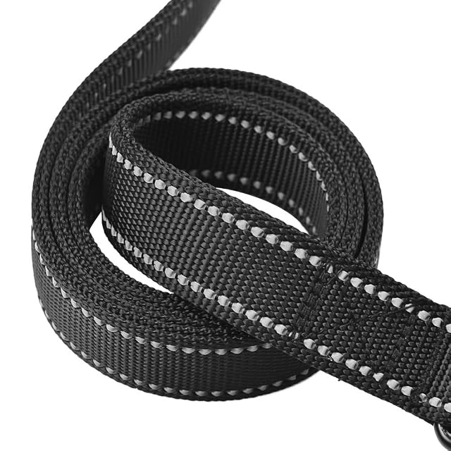 Foto 3 de 8 de Primal Pet Gear Correa para Perro de 1,8 m de Largo - Acolchado de tráfico de Dos Asas - Resistente