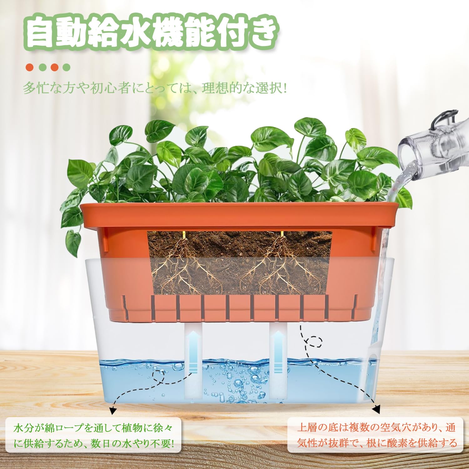 Amazon.co.jp: STATIN4 植木鉢 自動給水プランター 長方形 観葉植物鉢