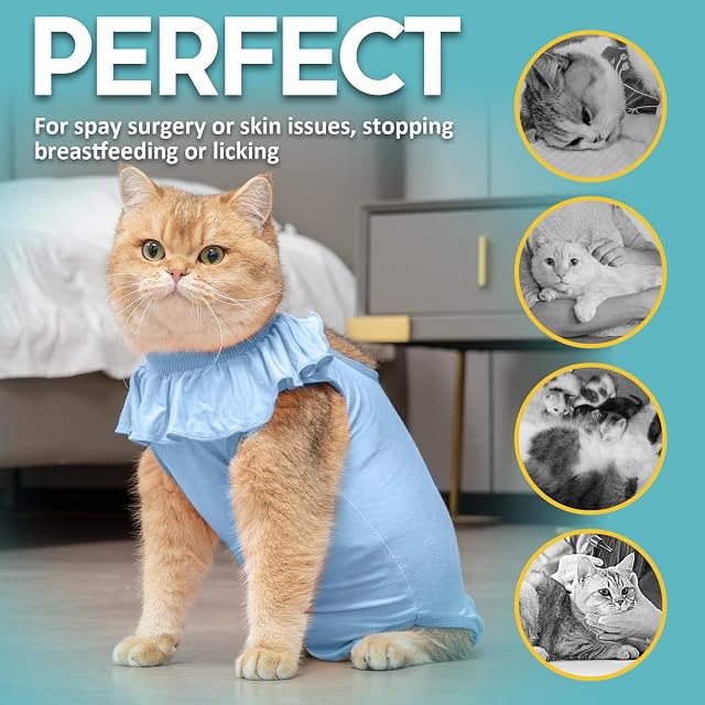 Foto 4 de 7 de Avont Traje de Recuperación para Gatos