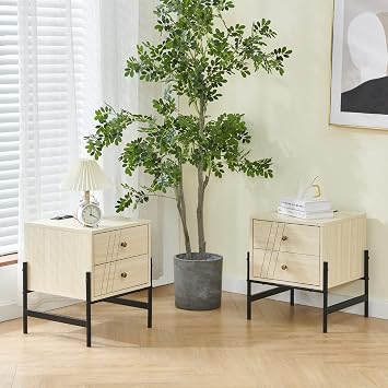 Nightstand with Charging Station and 2 USB Ports 2 Drawers and Metal Shelf Beside Table Sofa Side Table End Table for Bedroom Living Room,Set of 2