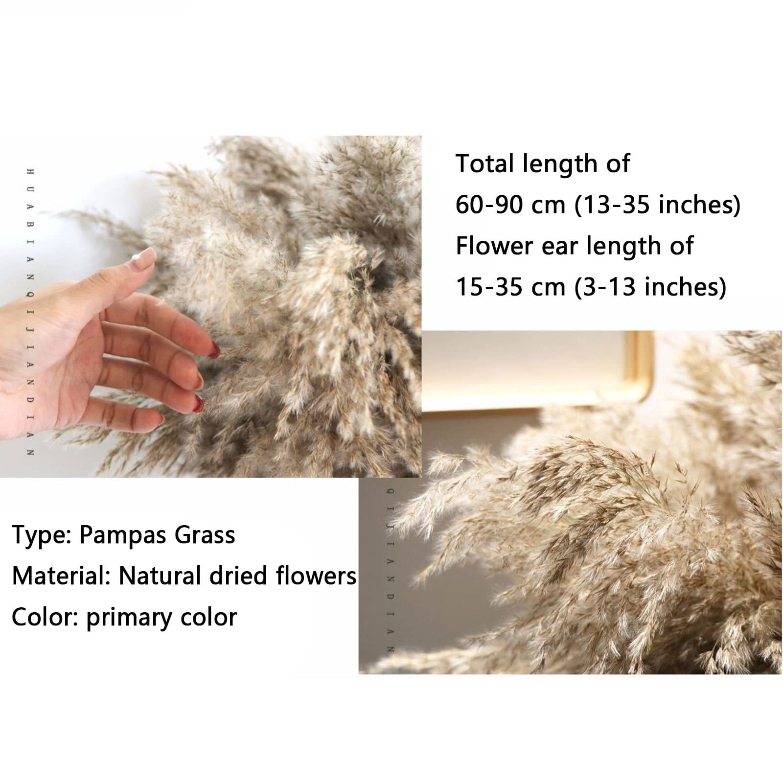 Herbe de Pampa séchée Naturelle Grande, 23 Pouces de Hauteur Wild Pampas Grass Fluffy Pompas Floral, Utilisé pour Le Mariage et la décoration de la Maison Boho Fleurs séchées,Brown-30Stems