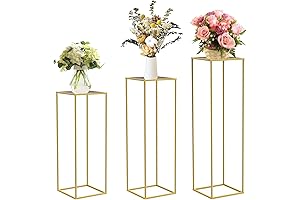 Elevate Your Decor with Chamvis Golden Plinth Stands