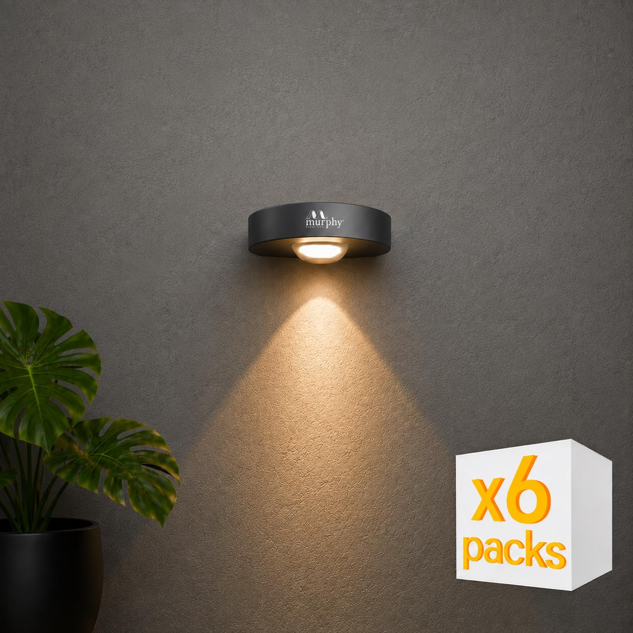 Murphy Areo 1-Way Waterproof LED Wall Light – Warm White, Aluminum Body, 2-Year Warranty, Indoor & Outdoor – Pack of 6