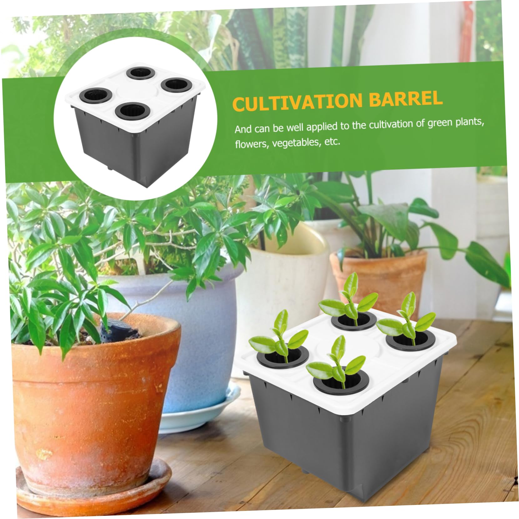 Gatuida Cubo para Cultivo Hidropónico sin Suelo Negro de PP, Estable y Práctico para Flores y Plantas Verdes en Invernadero