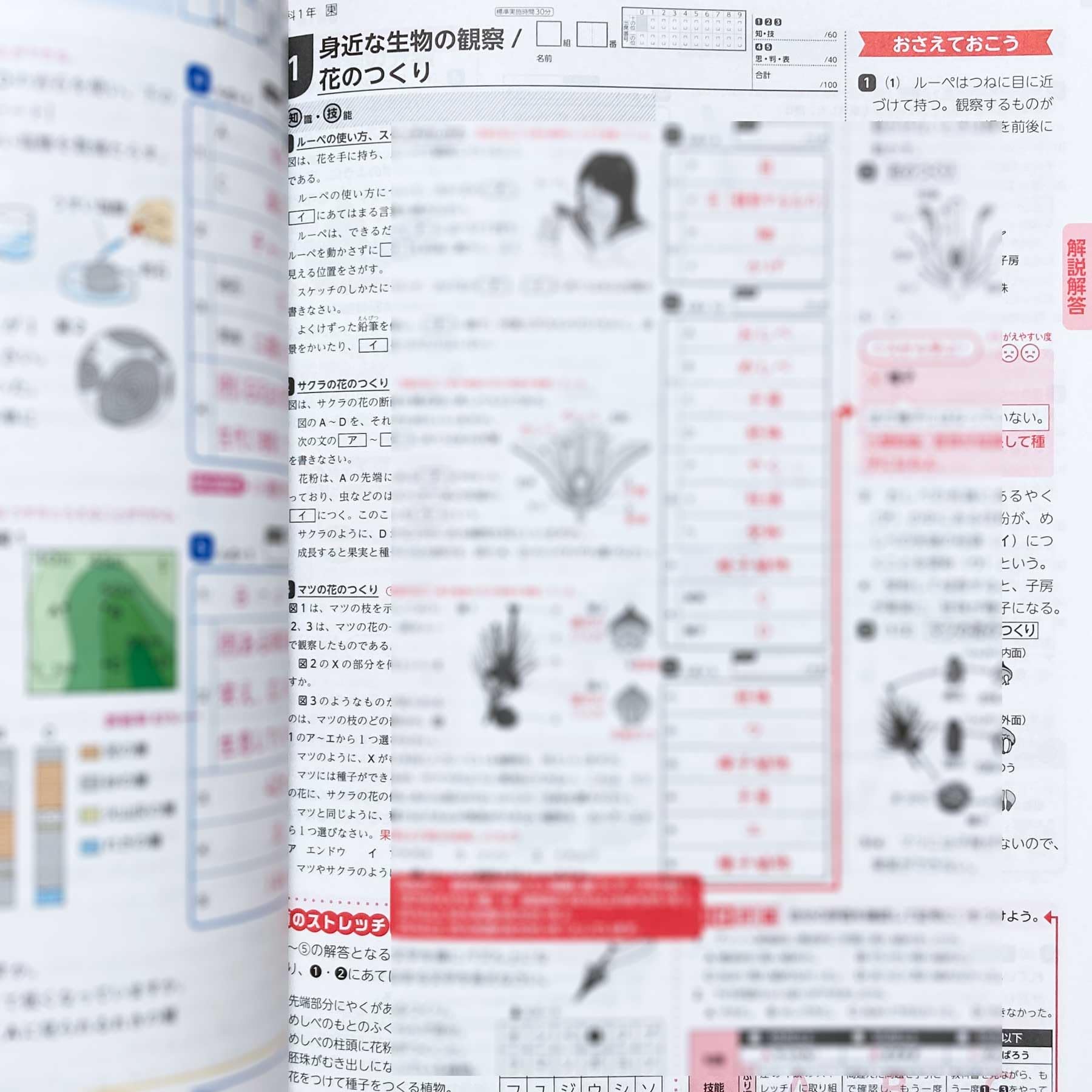 Amazon.co.jp: 2025年度版「Wプリント 理科 1年 東京書籍版【教師用