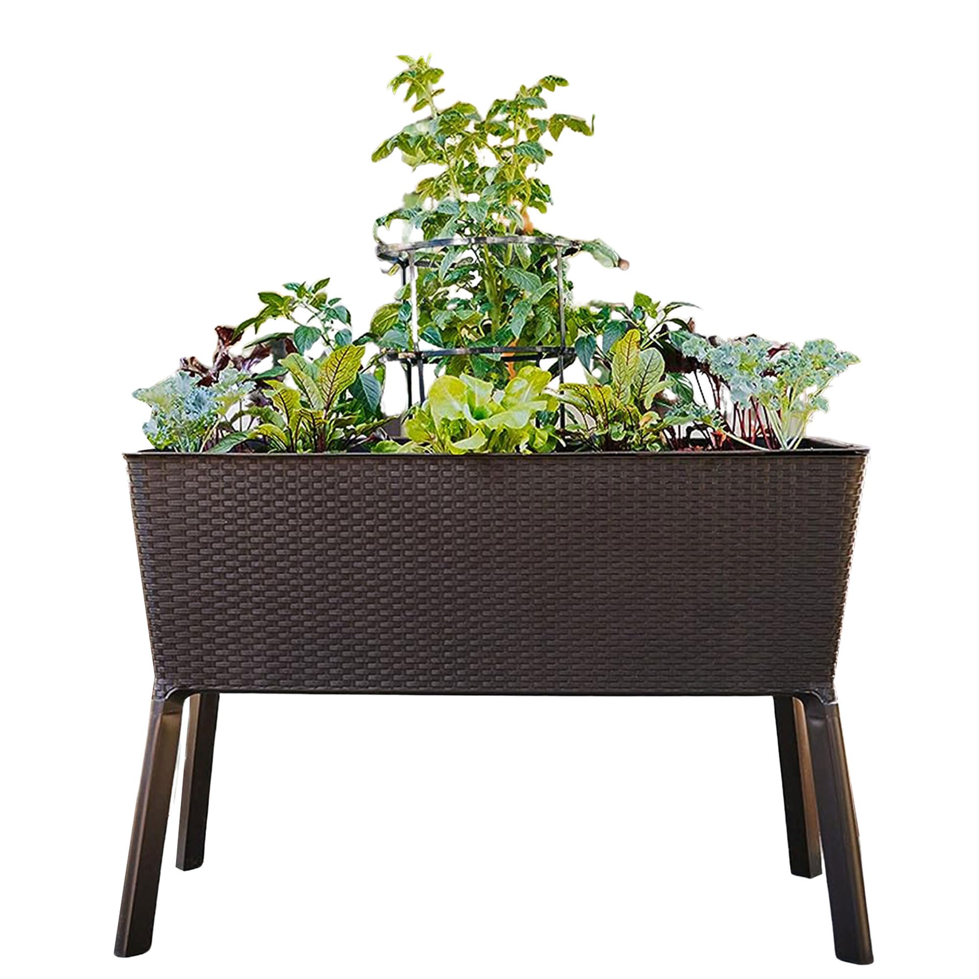 product_img5