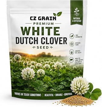 White Dutch Clover Seed for Lawns, Food Plots & Cover Crops, 1 Pound