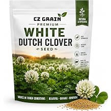 2 lb White Dutch Clover Seed for Lawn Overseeding, Cover Crops & Gardens