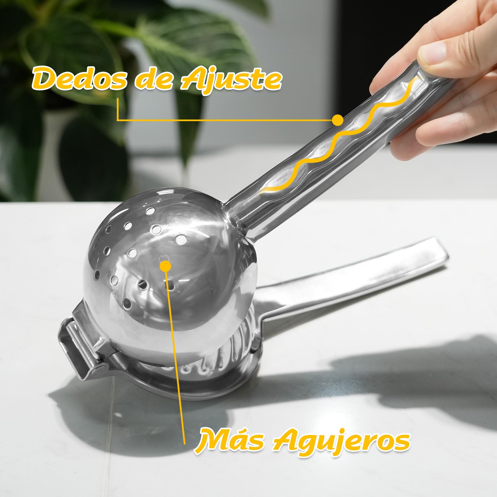 Lechin Exprimidor manual - Exprimidor de mano con un diámetro de 8,5 cm- Exprimidor de mano de limón de acero inoxidable 304, LP001