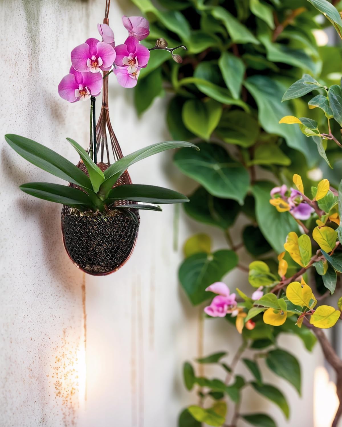 Hanging Orchid Planter Plant Pot: 5 Packs Bamboo Flower Basket with Handmade Environmentally Adjustable for Indoor Wall Railing Outdoor Garden