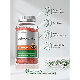 Horbach Ashwagandha Gummies for Women and Men | 60 Count | Vegan, Non-GMO, Gluten Free Supplement | Tropical Flavor