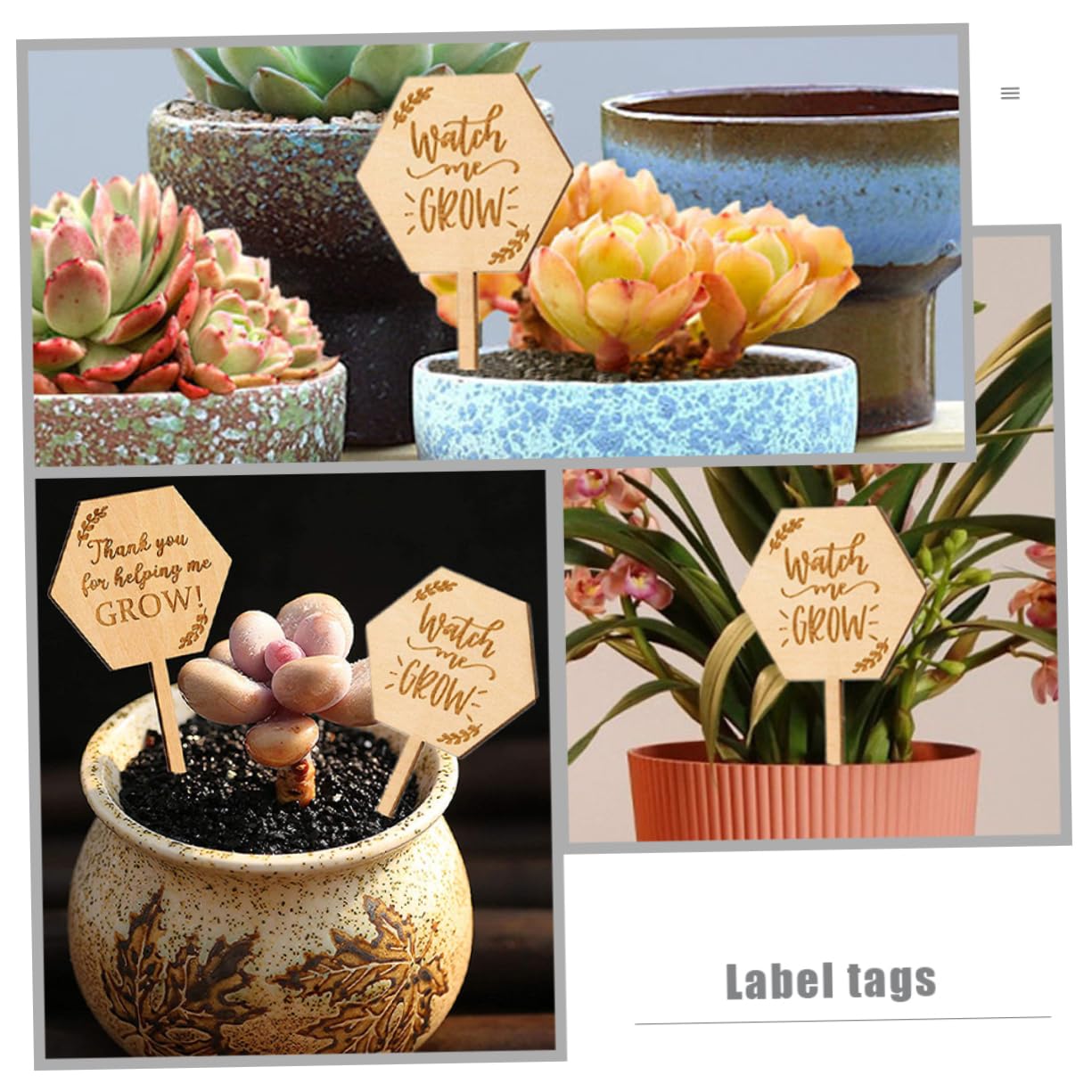 Lot De 40 étiquettes Pour Plantes En Bambou - Forme En T, Résistantes Aux Intempéries, Avec Marqueur - 6