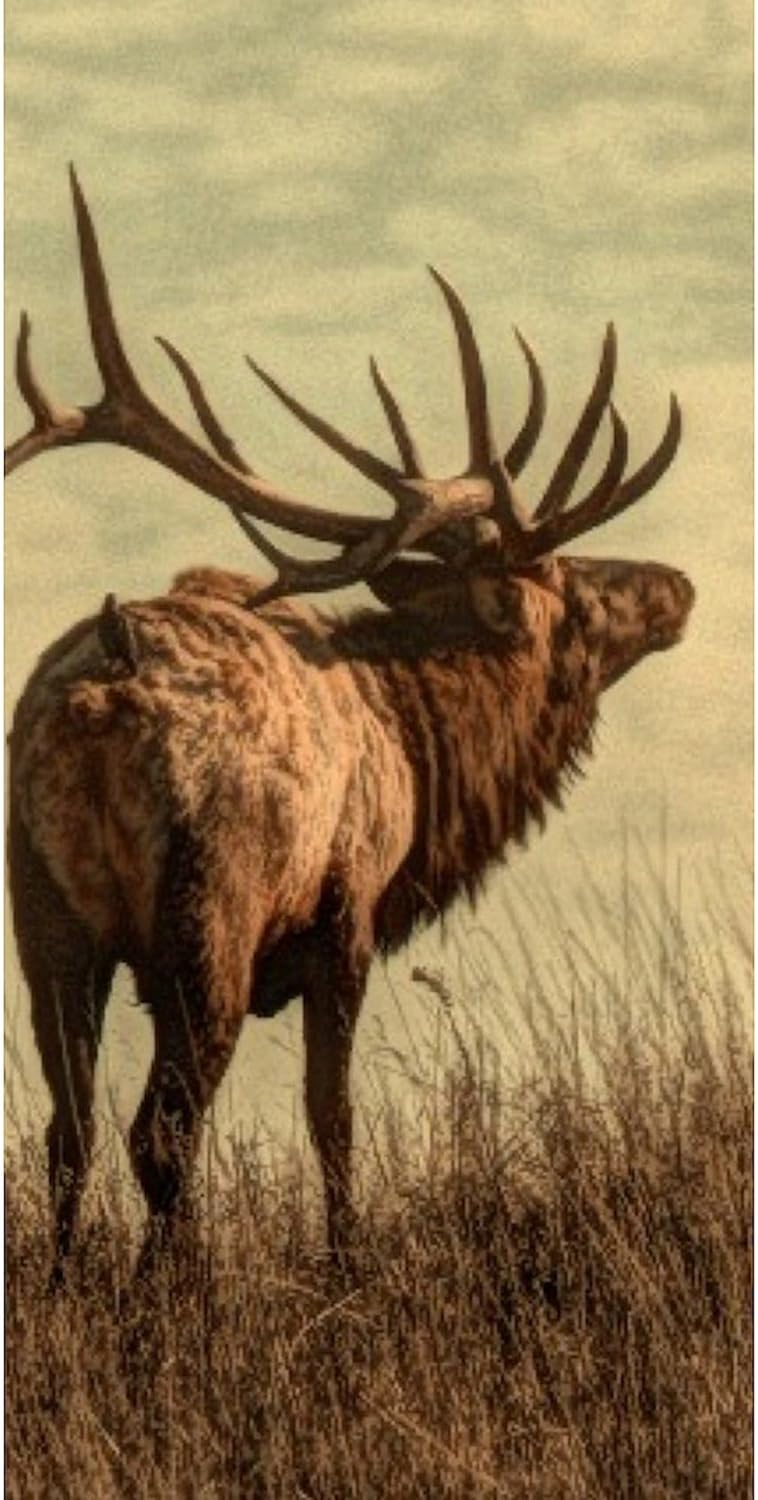 CafePress Rustic Western Wild Elk 30"x60" Absorbent Cotton Back, Soft Beach, Pool Towel