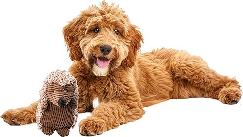 SPOT Juguete de pana erizo para perros con chirriador, juguete de peluche texturizado para razas de perros pequeñas y medianas, masticadores ligeros