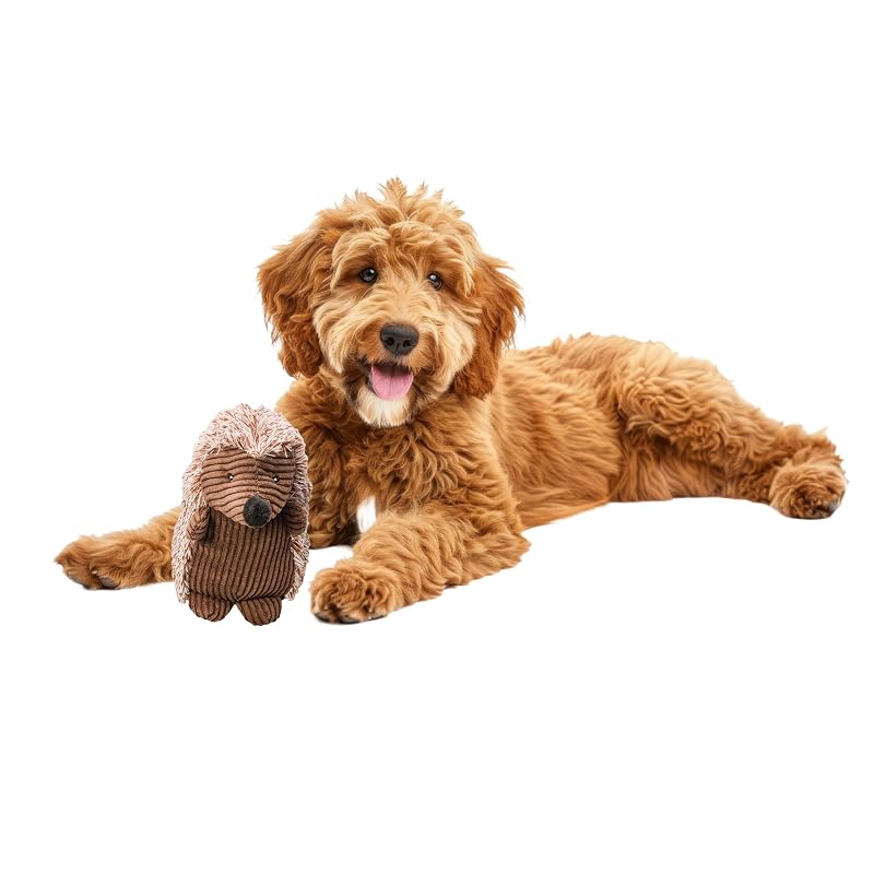 Brinquedo para Cachorro com Apito em Pelúcia de Cotelê, Ouriço SPOT, 20,32 cm, 1 unidade