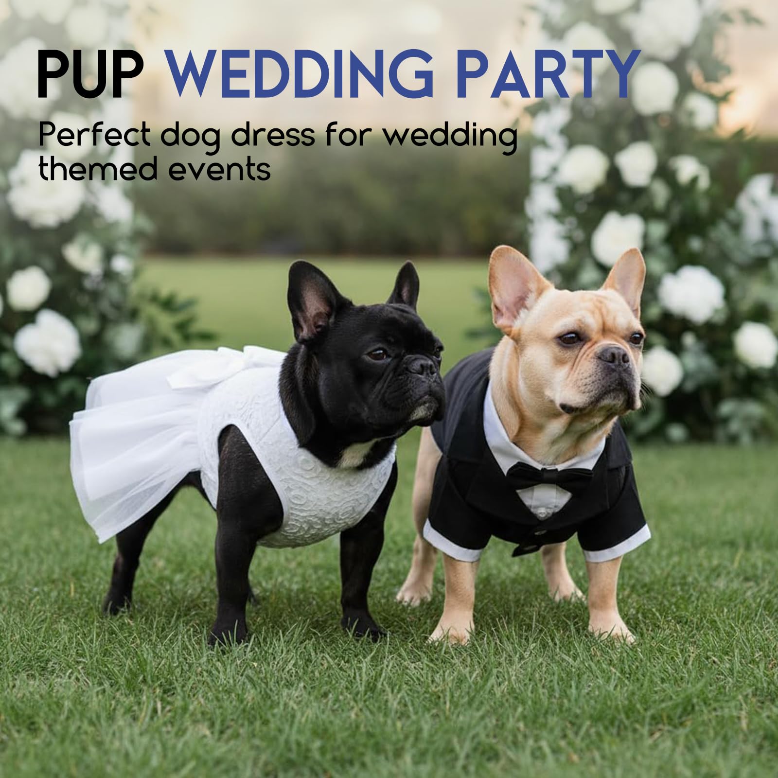 Abito da Sposa per Animali Domestici in Pizzo Bianco XS per Cani Piccola Taglia Gatti