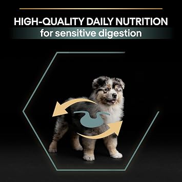 Pro Plan Medium Puppy Lamb Meat Dog Food 12 Kg