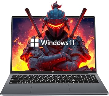 KAIGERR Gaming Laptop, 17.3inch Laptops with AMD Ryzen 4300U ProcessorUp to 3.7GHz, 16GB DDR4 512GB SSD Laptop Computer, WiFi 5, USB3.2, Type_C, Webcam Cover Slide