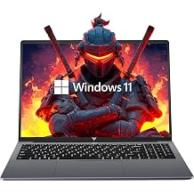KAIGERR Gaming Laptop, 17.3inch Laptops with AMD Ryzen 4300U Processor(Up to 3.7GHz), 16GB DDR4 512GB SSD Laptop Computer, WiFi 5, USB3.2, Type_C, Webcam Cover Slide