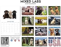 Vista 1523 de Razas de Perros 2017