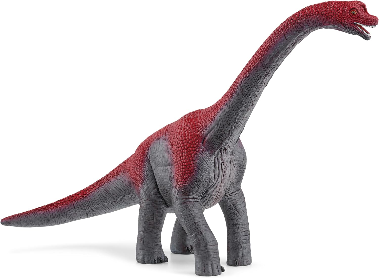 Schleich Dinosaurs - 9.5" Brachiosaurus - Realistic, Durable Green Dinosaur Toy - Educational Fun Long Neck Dino Figurine for Boys and Girls - Montessori Figures for Kids Ages 4+ | 14581