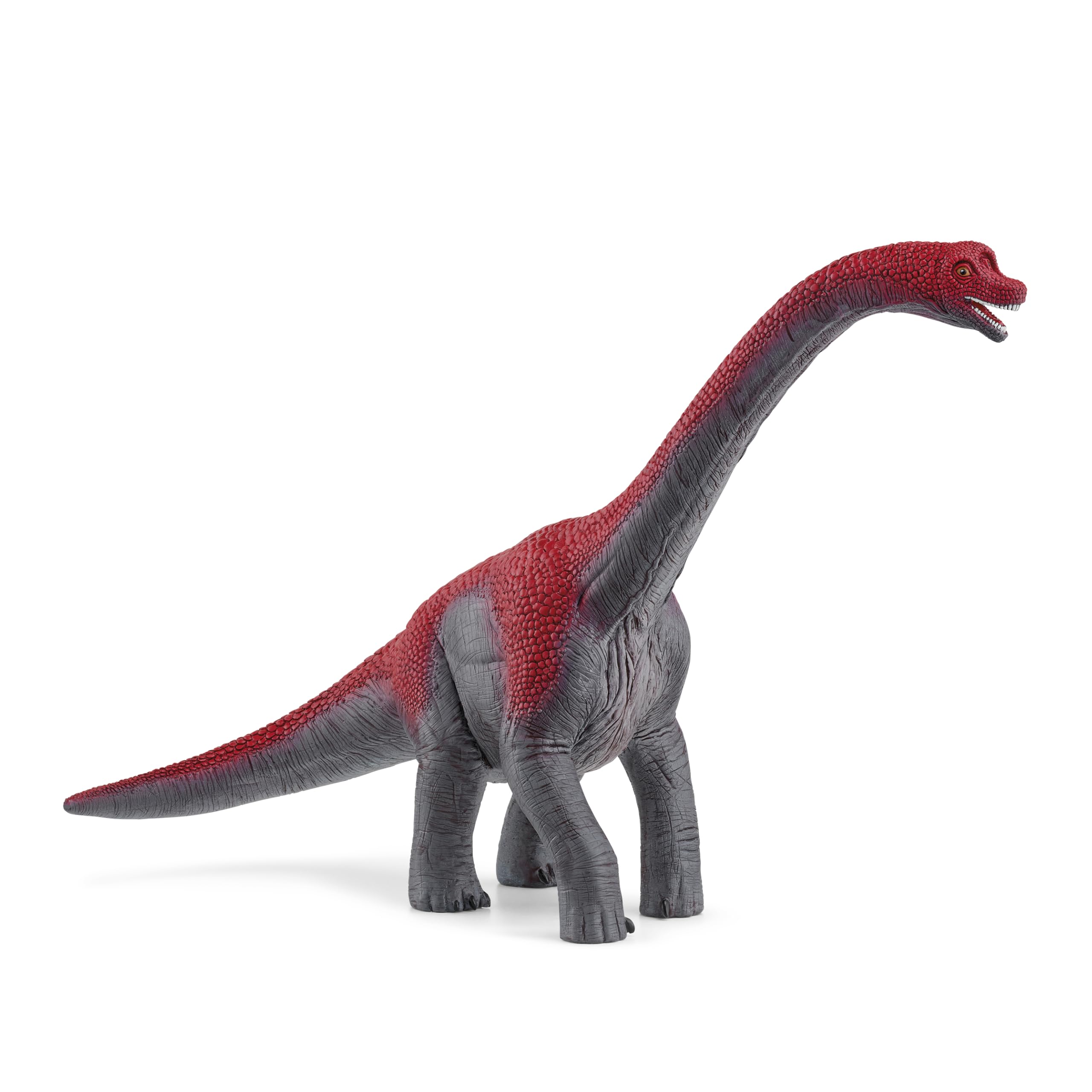 Amazon.co.jp: シュライヒ 恐竜 ブラキオサウルス（レッド