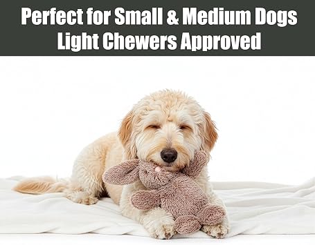 SPOT Cuddle Bunnies Dog Toy - Soft, Plush Fabric Dog Toy with Squeaker, Perfect for Cuddling, Great for Dogs and Puppies of All Ages, Medium to Large Breeds - 13