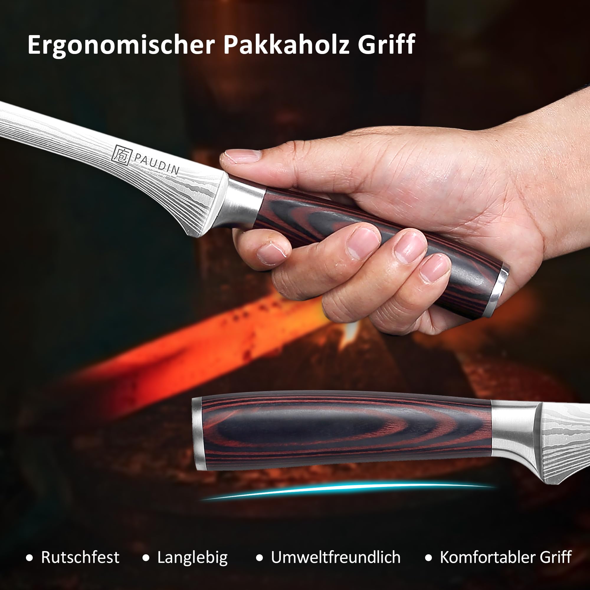 PAUDIN Coltello da prosciutto 25 cm, coltello da cucina professionale in acciaio inox tedesco 1.4116 - lama di precisione per fette sottilissime, con impugnatura ergonomica in legno