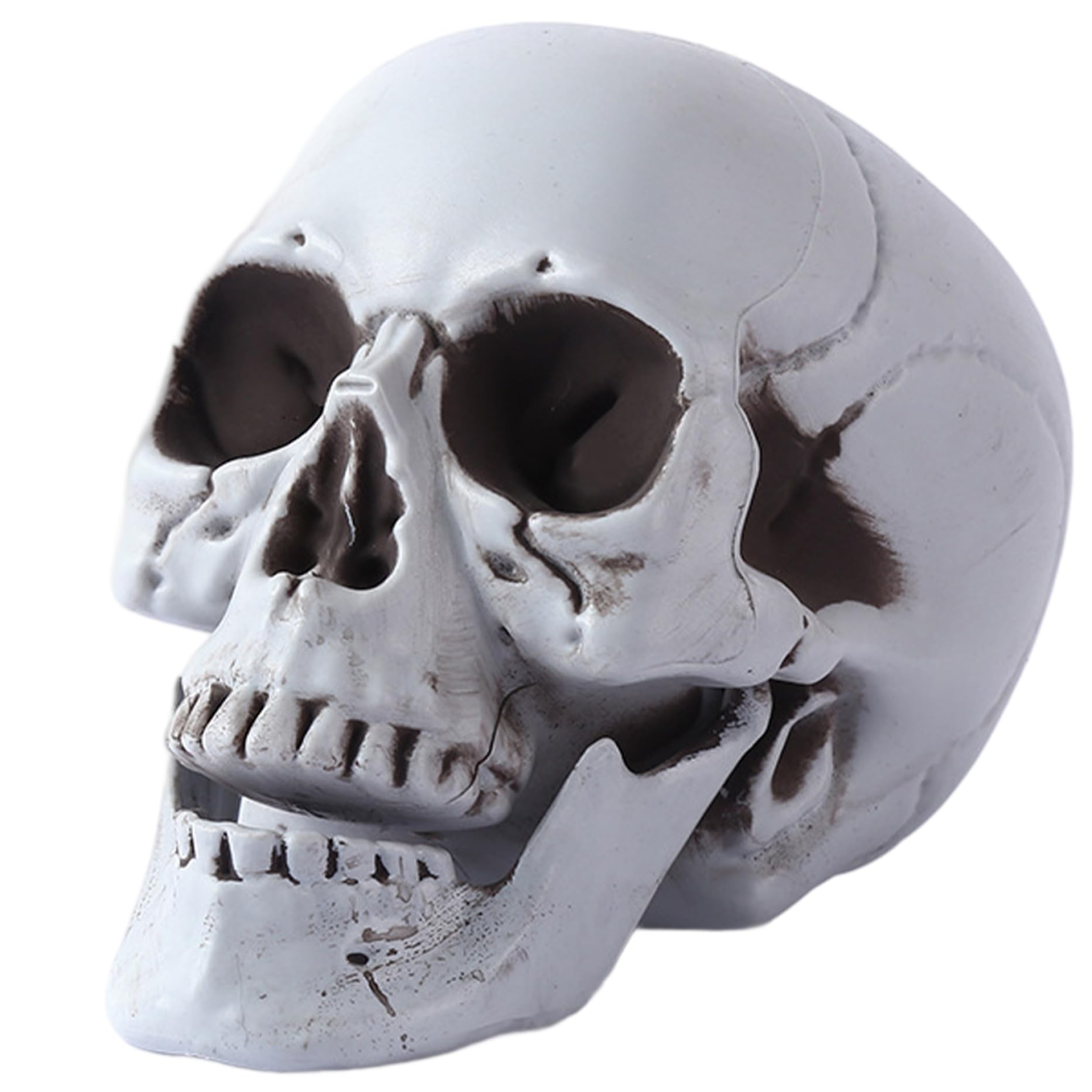 PithCogent Skull Head|Skulls Halloween Decor Life Size Plastic Skulls with Movable Jaw Skeleton Heads for Bar Party Home Graveyard Outdoor Decor