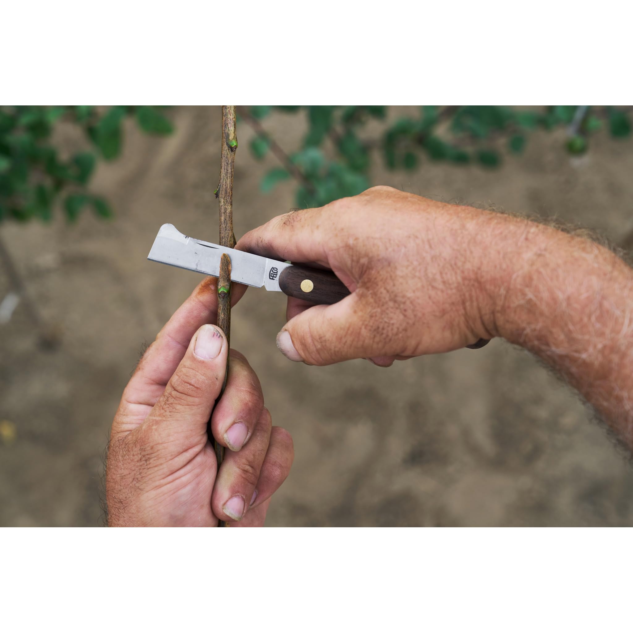 SÉCATEUR USAGE INTENSIF LAME INCURVÉE ACIER CARBONE – Diam Réunion