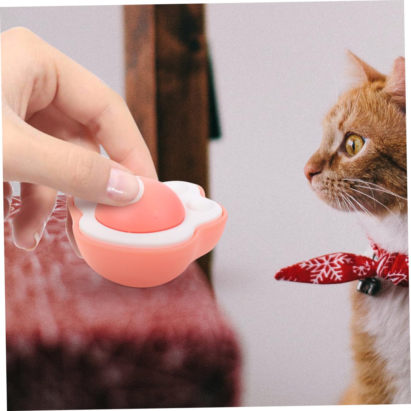Yardwe 12piezas Juguete para Gatos De Hierba Juguete Interactivo para Estimulación y Limpieza para Gatos De Interior Colores