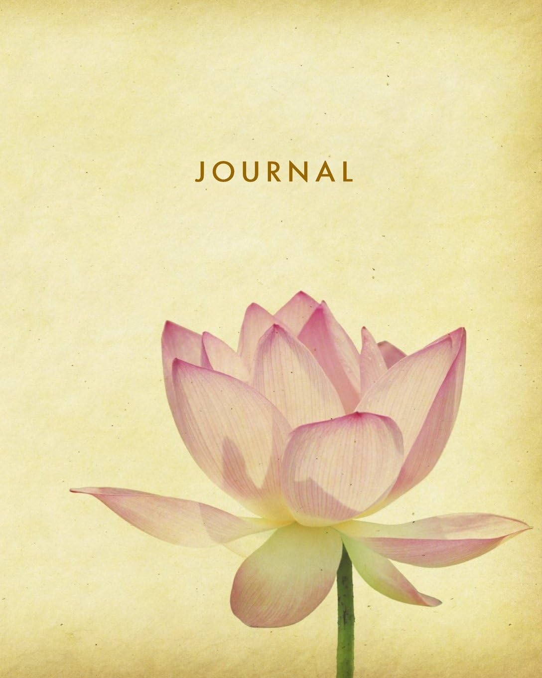 Journal: Blank Lined Notebook Pink Lotus 8 x 10 (TGR Journals)