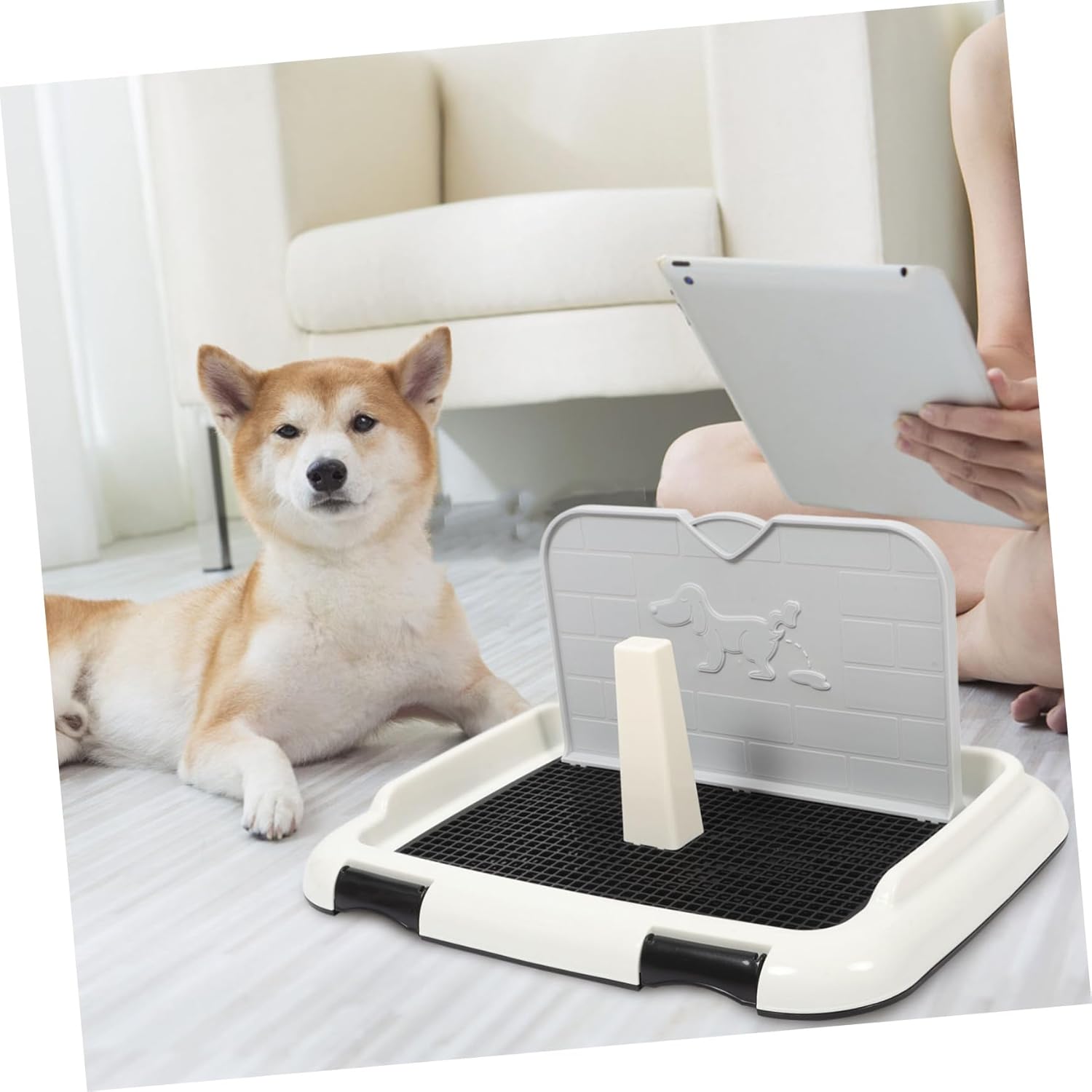 Thickened Indoor Dog Potty Tray with Splashproof Design Durable Plastic Puppy Toilet for Small and Large Dogs Non Spill Pee Holder with Bottom Mesh for Easy Training and