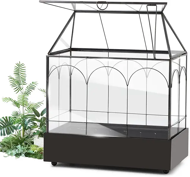 Terrario Piante in Vetro a Forma di Casa con Vassoio Estraibile per Piante Grasse e Cactus