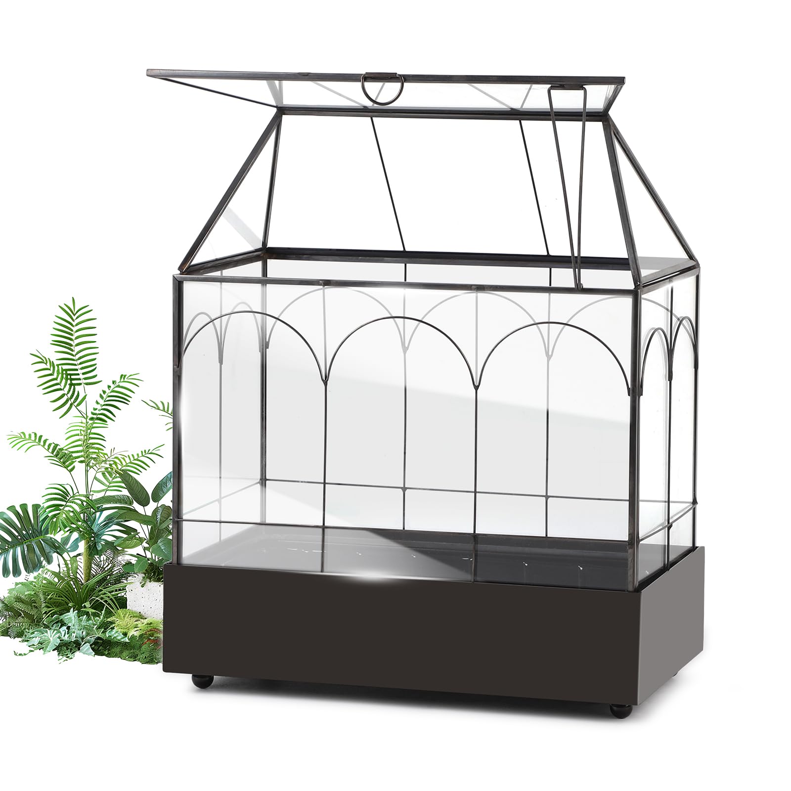 EFUTURETIME Mini Gewächshaus Fensterbank Glas mit Auffangschale 24,2 x 14,7 x 29 cm Pflanzenterrarium Klein Flaschengarten DIY (Keine Pflanzen enthalten) Deko für Sukkulenten, Kakteen