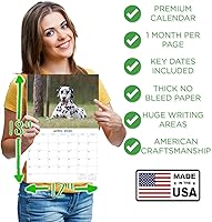 Vista 291 de Razas de Perros 2017