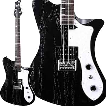 Amazon | RYOGA SKATER/LEC-v2 Monochrome Black エレキギター