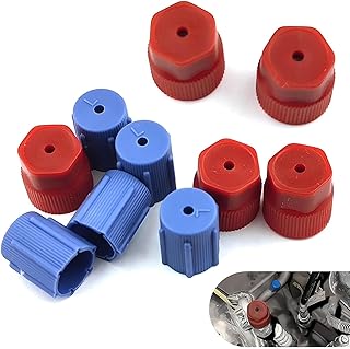 Eratus 10 PCS AC Caps, 13 mm 16 mm High-pressure and Low-pressure Leak-proof Sealing Cap with Rubber Ring, Perfect Fit Air-conditioning Port Service Cover, Universal for Most Cars (Blue & Red)