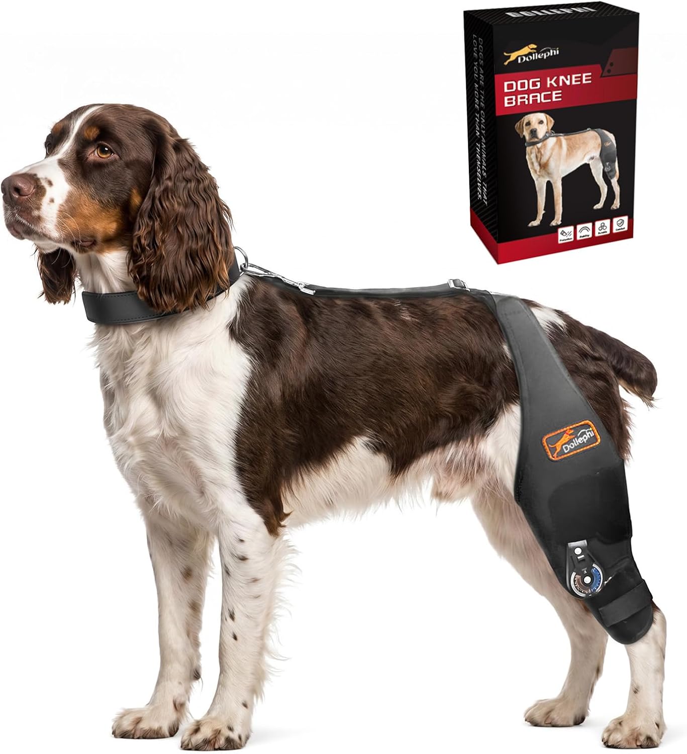 Dog Knee Brace for Torn ACL/CCL, Adjustable Hind Leg Support for Arthritis, Luxating Patella & Post-Surgery Recovery（Left Leg,XL
