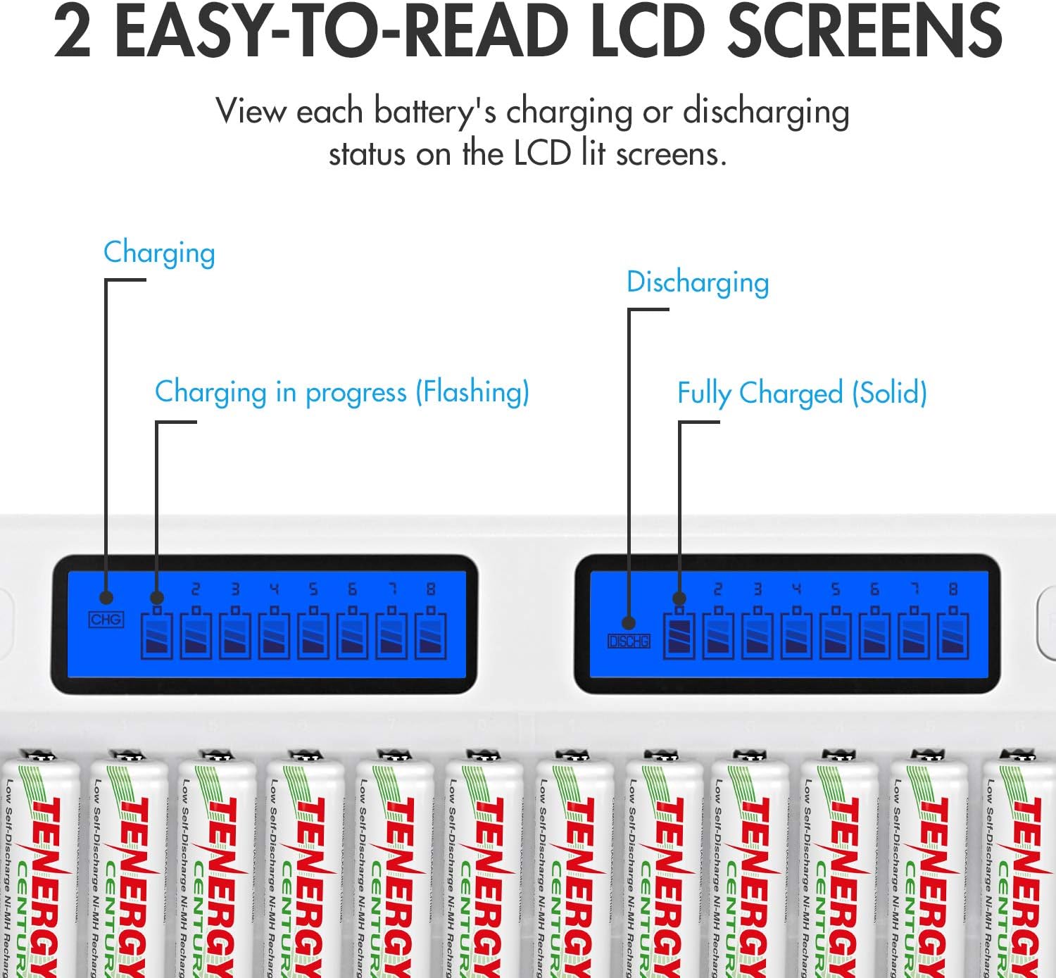 Lowest Price Tenergy TN438 16-Bay Auto-detect AA/AAA NIMH/NICD LCD Built-in IC Protection Smart Intelligent Battery Charger (Charger + 16 AA Low Self Discharge Batteries)