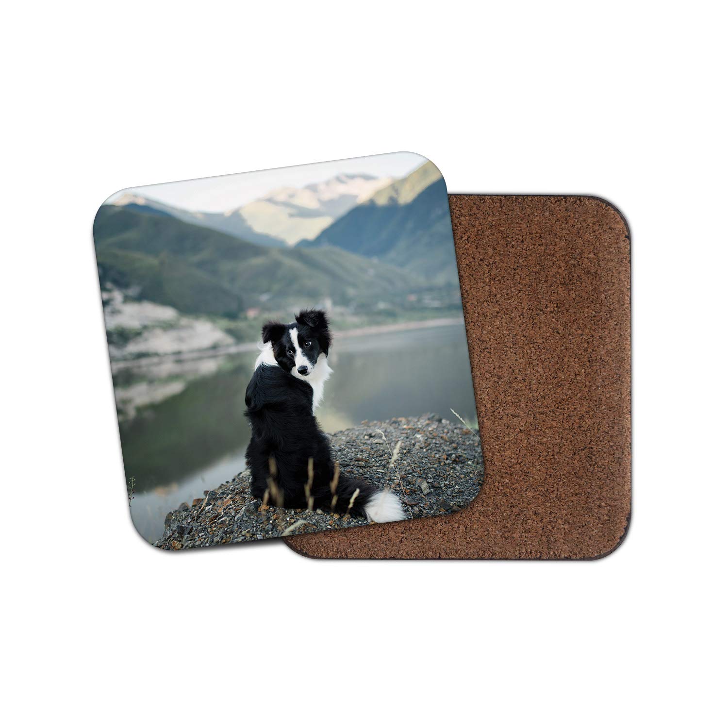 Destinationvinyl Multicolor 1 X Border Collie Dog Coaster - Sheep Dogs Puppy Lake Walking Hiking Fun #12385