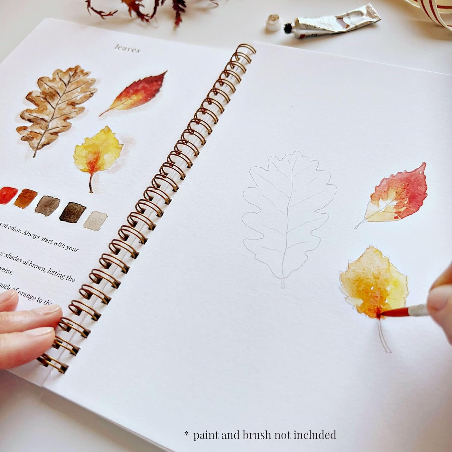 Autumn Watercolor Workbook by Emily Lex Studio, 12 Beginner Friendly Sketched Illustrations, Lay Flat Spiral Pages, 6.5 x 9 inch, 120lb Watercolor Paper