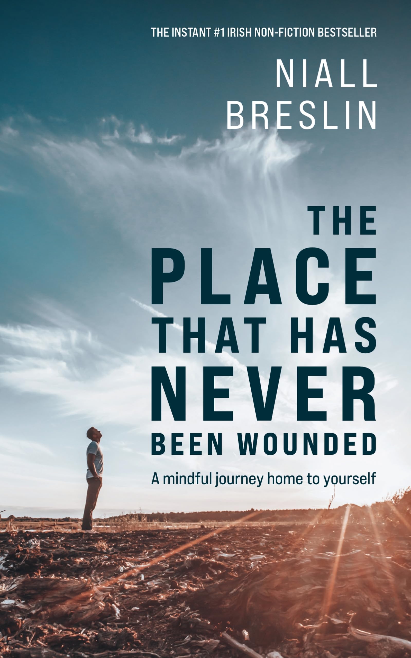 Niall Breslin - Place That Has Never Been Wounded - Paperback Book