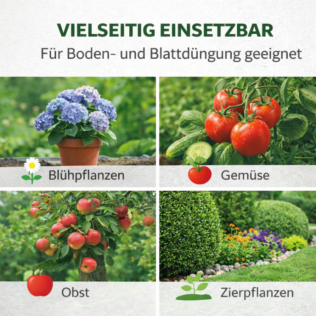 GiDeli Kaliumnitrat 25kg - Ein Universaldünger, Ideal für Blumen, Obstpflanzen und Zierpflanzen - 1 kg Dünger Reicht für 60 m² - Pflanzendünger, der die Immunität und das Wachstum verbessert