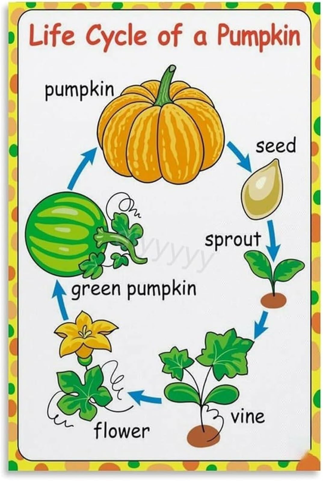 UYCUODLUY The Story of a Pumpkin Growth and Harvest Diagram Poster Canvas Art Print for Childrens Playroom or Library Reading Nook(Unframed,16x24inch(40x60cm))